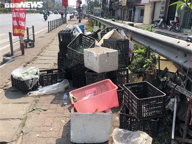 Anh: 15 tan rau cu cua nong dan Hai Duong het veo sau vai tieng 'giai cuu'-Hinh-7