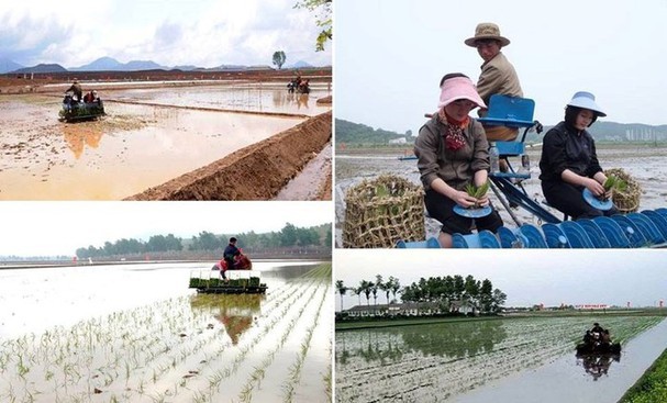 Cuoc song binh di va thanh binh o vung nong thon Trieu Tien-Hinh-8