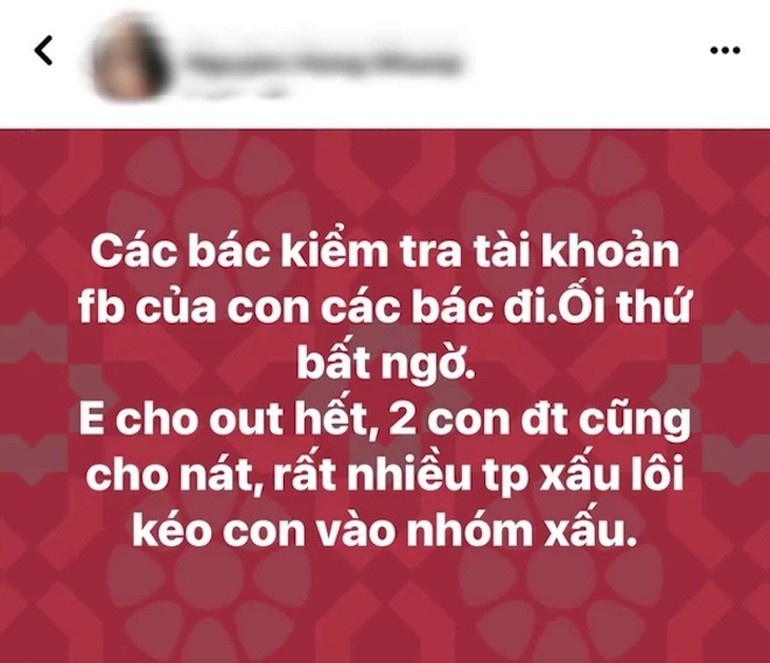 Ba xa NSUT Xuan Bac: “Toi khong dung con de cau like“-Hinh-2