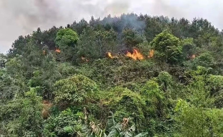 Trung Quoc len tieng ve kha nang 132 nguoi thiet mang sau vu roi may bay-Hinh-2