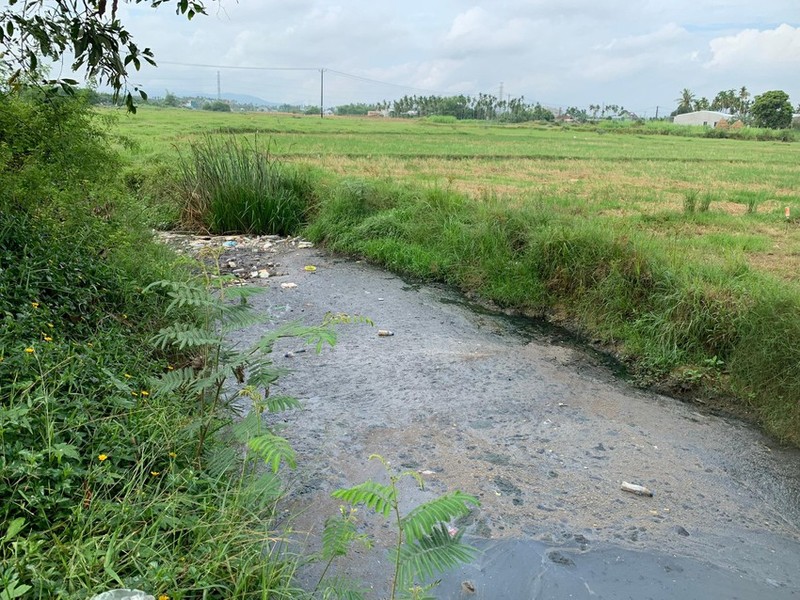 Nuoc bien thanh mau den lam ca chet hang loat tren song-Hinh-8