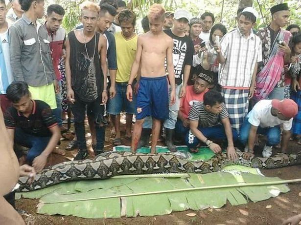 Cau chuyen on lanh ve nguoi phu nu bi tran khong lo nuot chung