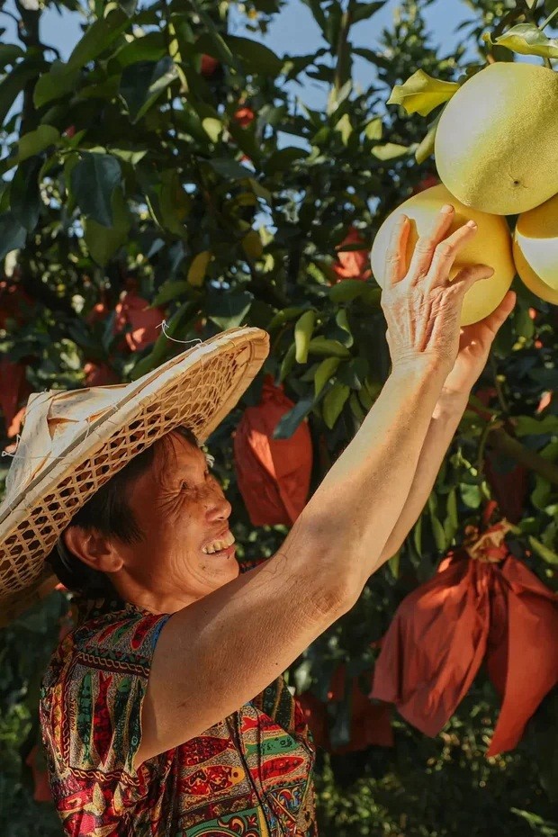 Dep nao long canh thu hoach mua mang boi thu o Trung Quoc-Hinh-9