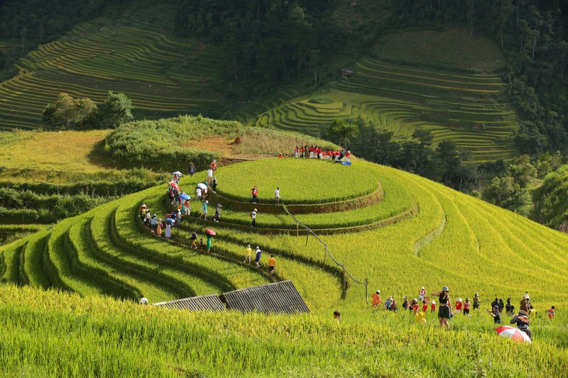 Len Mu Cang Chai ngam mua vang chay tran tren trien nui-Hinh-6