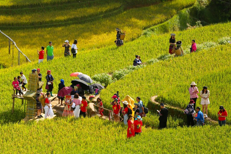 Len Mu Cang Chai ngam mua vang chay tran tren trien nui-Hinh-7