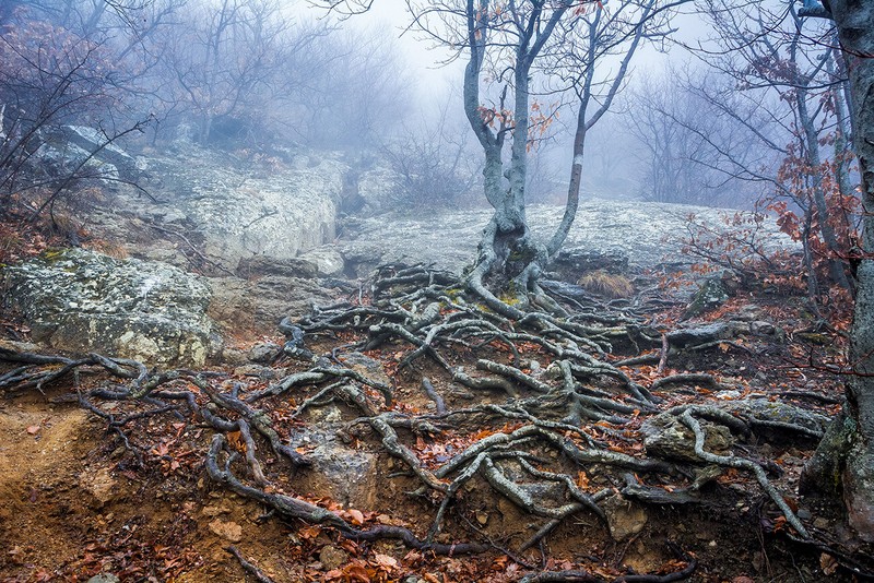 Khung canh am anh cua Thung lung ma o Crimea-Hinh-9