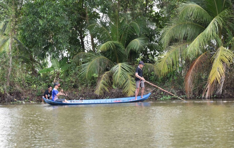 Canh bao ca sau xuat hien trong ao ho, kenh rach o Bac Lieu-Hinh-3