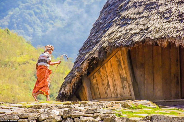 La lung ngoi lang co biet lap nam giua rung sau o Indonesia-Hinh-5