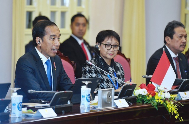 Chu tich nuoc Vo Van Thuong hoi dam voi Tong Thong Indonesia Joko Widodo-Hinh-3