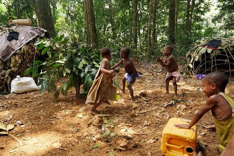 View - 	Tận mục cuộc sống bộ tộc người lùn giữa rừng rậm châu Phi
