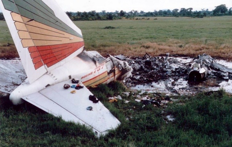 View - 	Điểm loạt vụ tai nạn thương tâm vì máy bay va chạm với chim