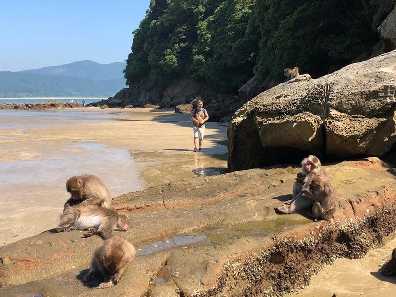 Ghe tham loat hon dao la thien duong cua dong vat o Nhat-Hinh-8