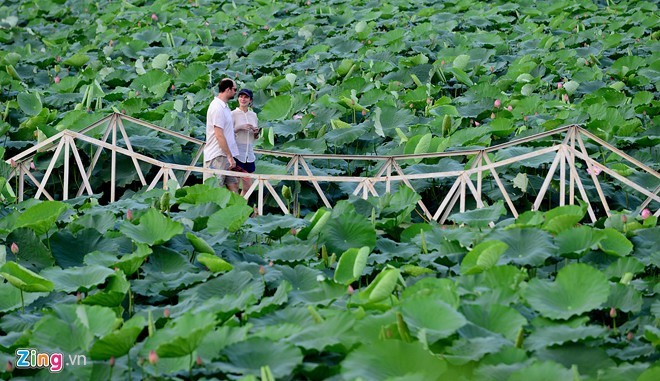 Thieu nu Ha thanh dien vay, yem chup anh voi sen-Hinh-7