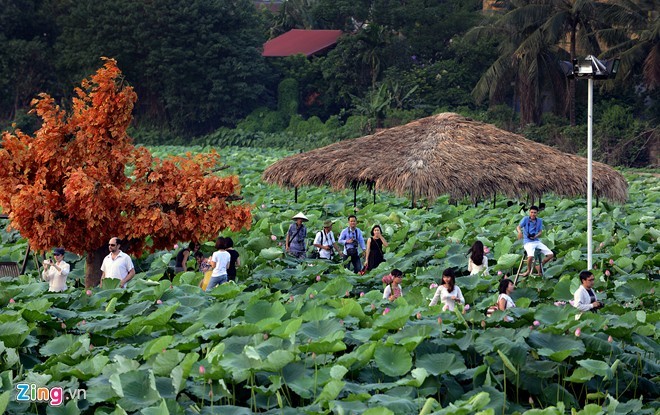 Thieu nu Ha thanh dien vay, yem chup anh voi sen-Hinh-8