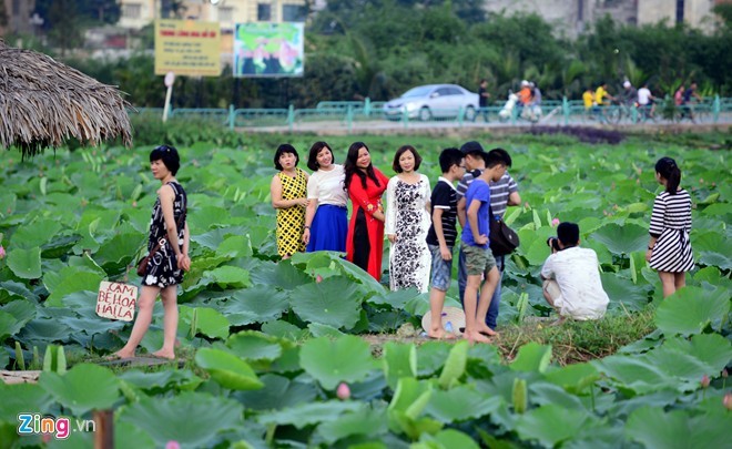 Thieu nu Ha thanh dien vay, yem chup anh voi sen-Hinh-9