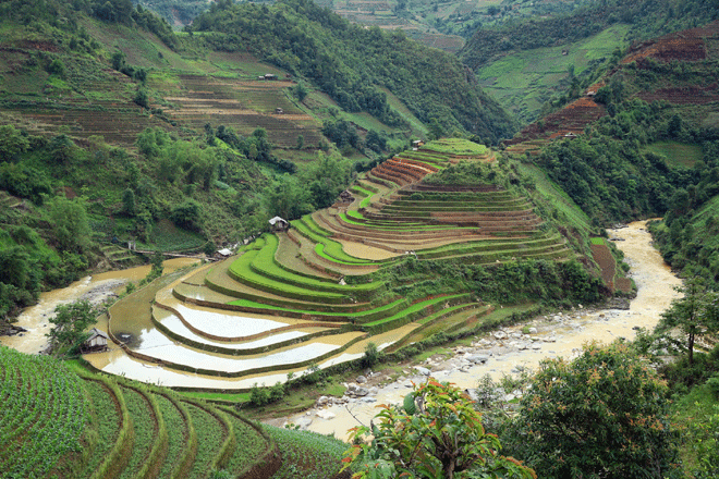 Kham pha Mu Cang Chai tuyet dep mua nuoc do-Hinh-4