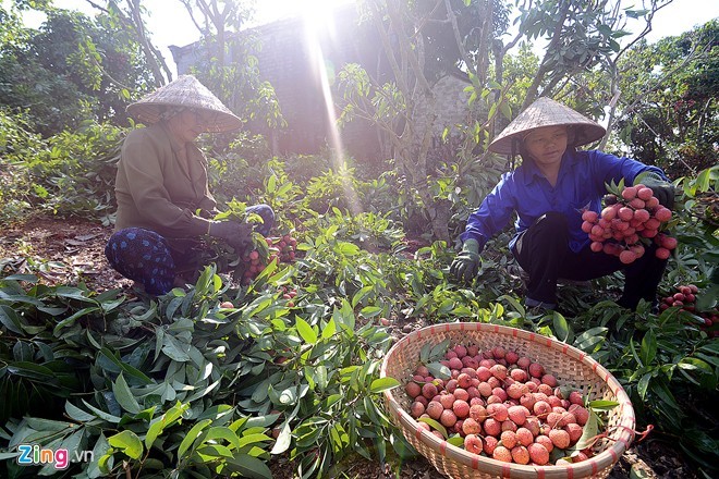 Vai thieu Luc Ngan truoc khi xuat ngoai ra nuoc ngoai.-Hinh-4