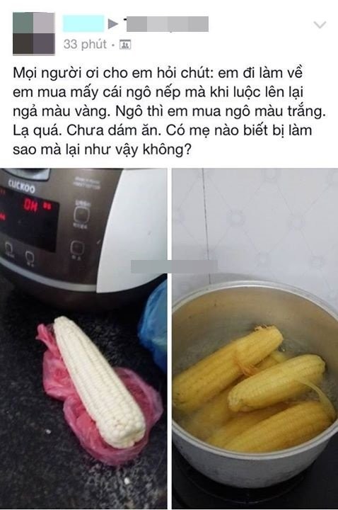 Trao luu hoi ngu lam dien dao cong dong mang Viet