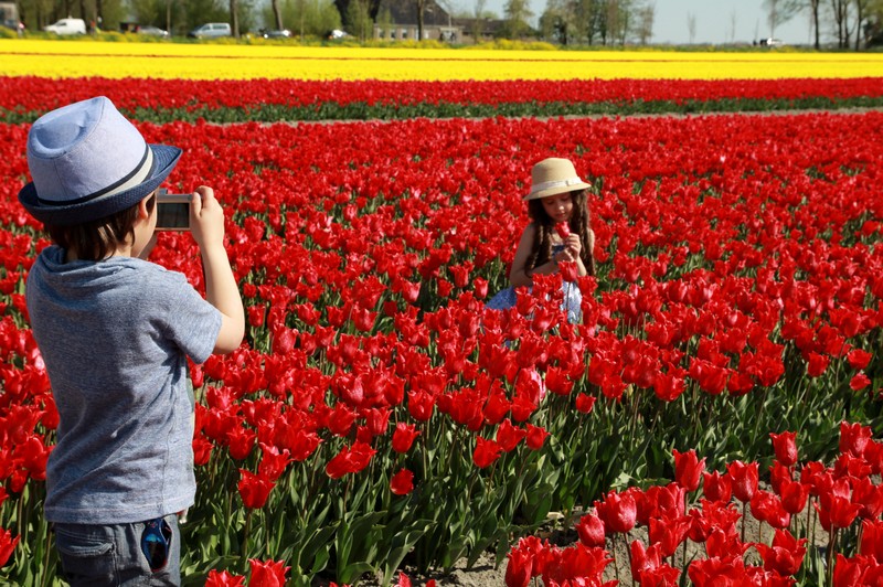 Ngam “cong chua, hoang tu nhi” goc Viet tren canh dong tulip-Hinh-12