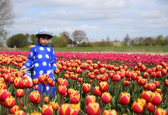 Ngam “cong chua, hoang tu nhi” goc Viet tren canh dong tulip-Hinh-14