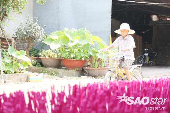 Chuyen doi cua cau be 11 tuoi lam nhang o Binh Duong-Hinh-9