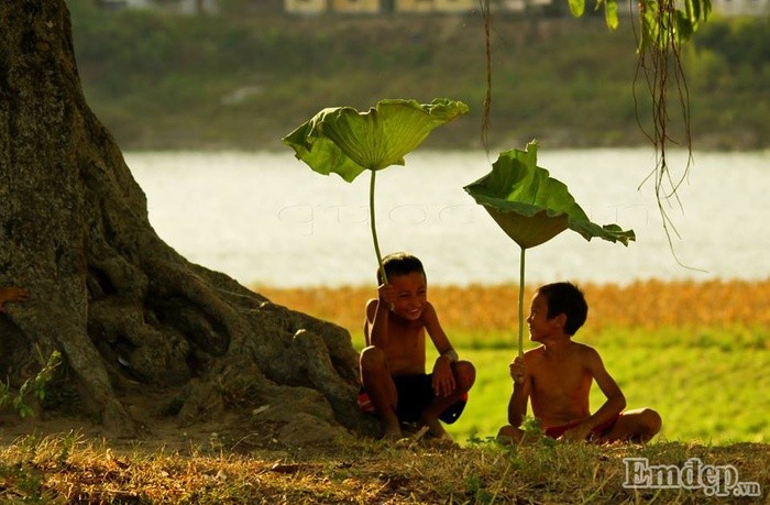 Dam sen o Nghe An dua nhau no 