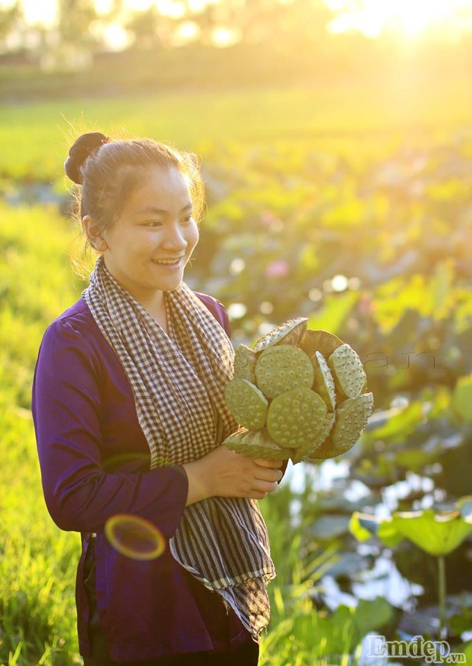 Dam sen o Nghe An dua nhau no 