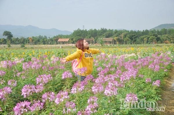 Thien duong hoa moi toanh hut teen Quang Ninh-Hinh-11