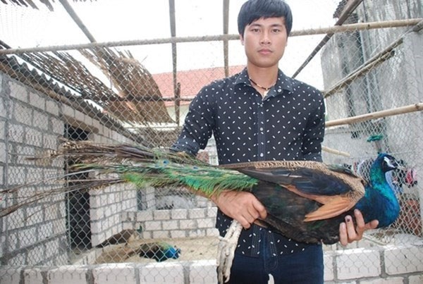 Nhung nghe hai ra tien ty cuc di thuong hinh anh