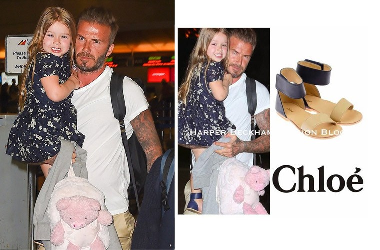 Harper Seven Beckham cang lon cang sanh dieu-Hinh-4