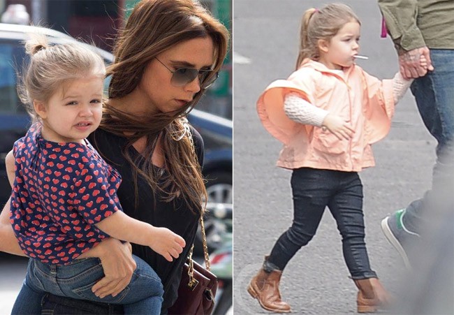 Harper Seven Beckham cang lon cang sanh dieu-Hinh-8