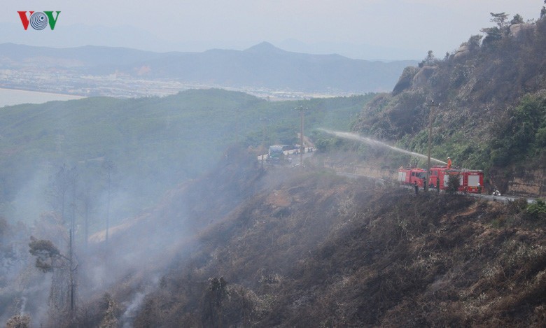 Da Nang: Chay lon tai rung dac dung Nam Hai Van-Hinh-6