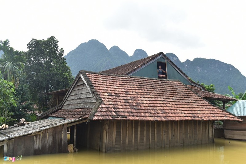 Chum anh cuoc song..tren mai nha o ron lu Quang Binh-Hinh-3