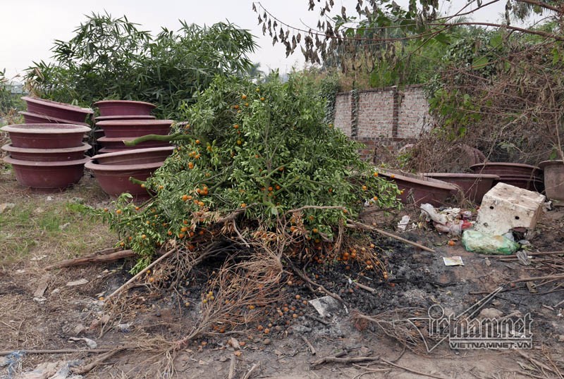 Quat Tet chet kho, chat dong ben duong Ha Noi-Hinh-3