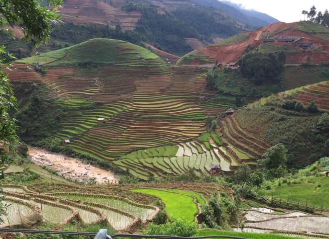 Mu Cang Chai mua nuoc do: Ve tinh te va hut hon nhat-Hinh-2