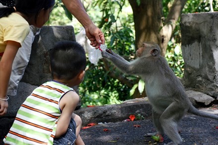 Chuyen la ve dan khi nuong nau ngoi chua o Vung Tau-Hinh-8