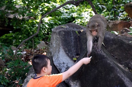 Chuyen la ve dan khi nuong nau ngoi chua o Vung Tau-Hinh-9