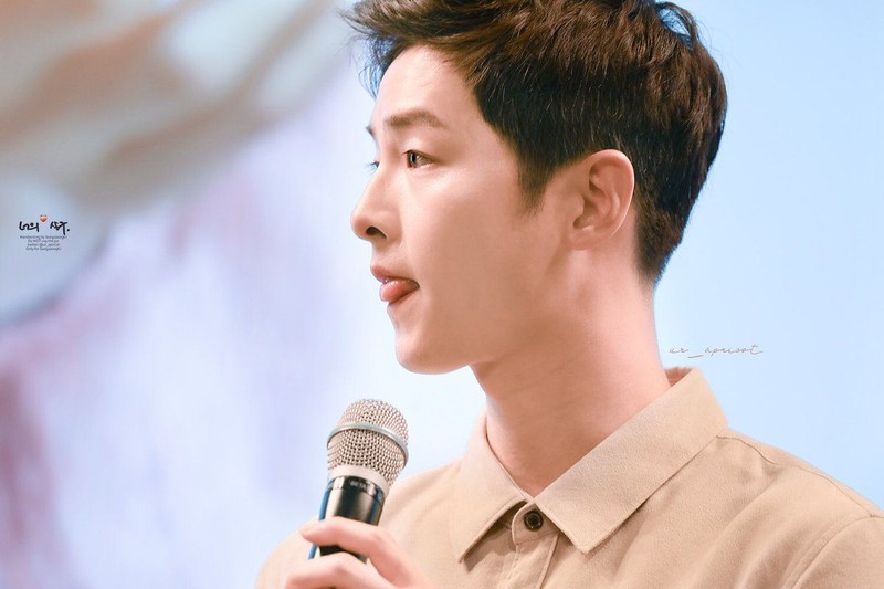 8 lan Song Joong Ki - Song Hye Kyo ho henh lo quan he-Hinh-6