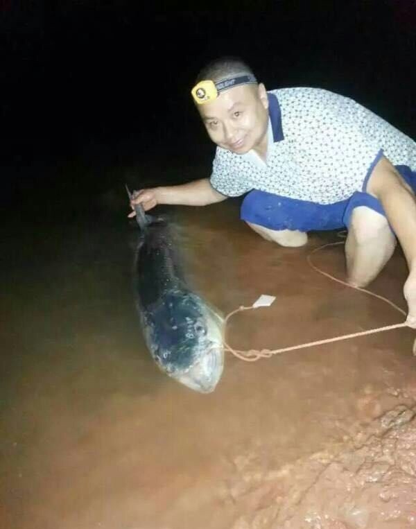 Cau duoc ca mang khong lo nang gan 100kg-Hinh-9