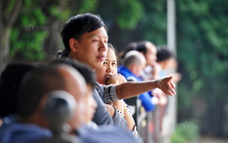 Ca heo trang bat ngo xuat hien khien dan 