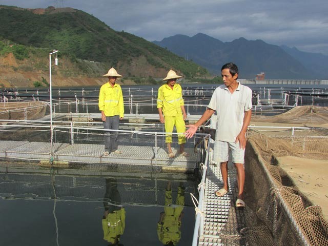 Nuoi ca tam to nhu cot nha giua ho thuy dien Son La