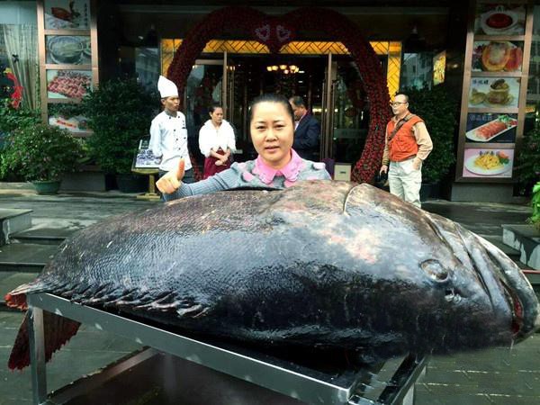 Bat duoc thuy quai ca mu khong lo nang 130kg