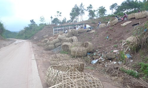 O nhiem nghiem trong tam rua cho lon truoc khi xuat canh-Hinh-2