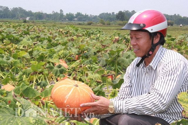 Trong bi Nhat... xuat ngoai: Nhan nha van lai kha