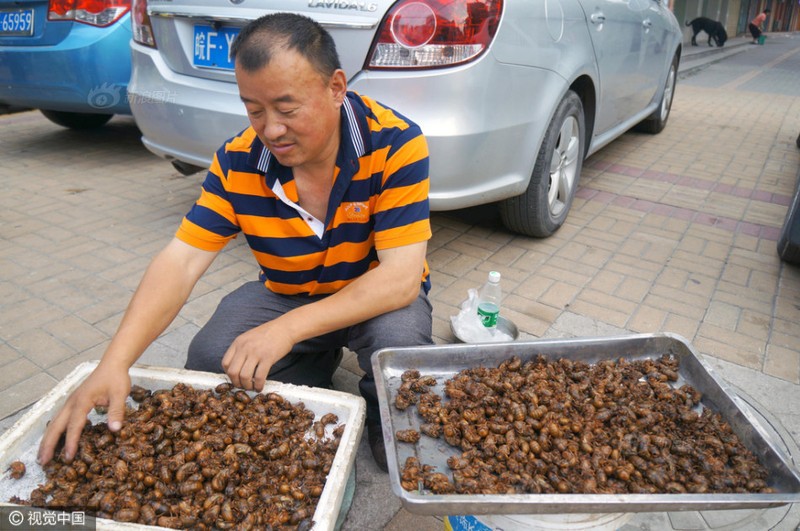 TQ: Hang ngan con ve sau bi san giet moi ngay-Hinh-8