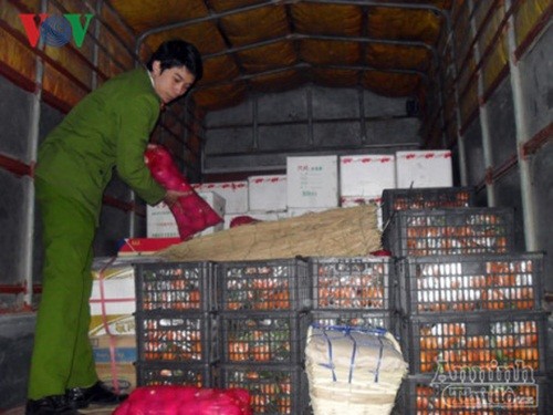 Quang Ninh Bat giu hon 600kg hoa qua nhap lau tu Trung Quoc