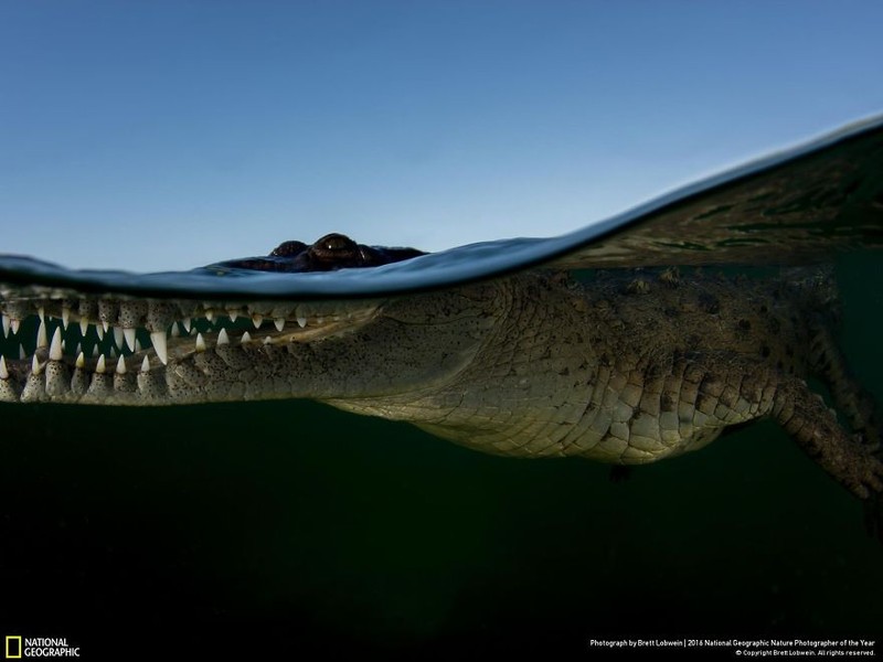 Loat anh thien nhien moi nhat, dep ngat ngay cua National Geographic-Hinh-12