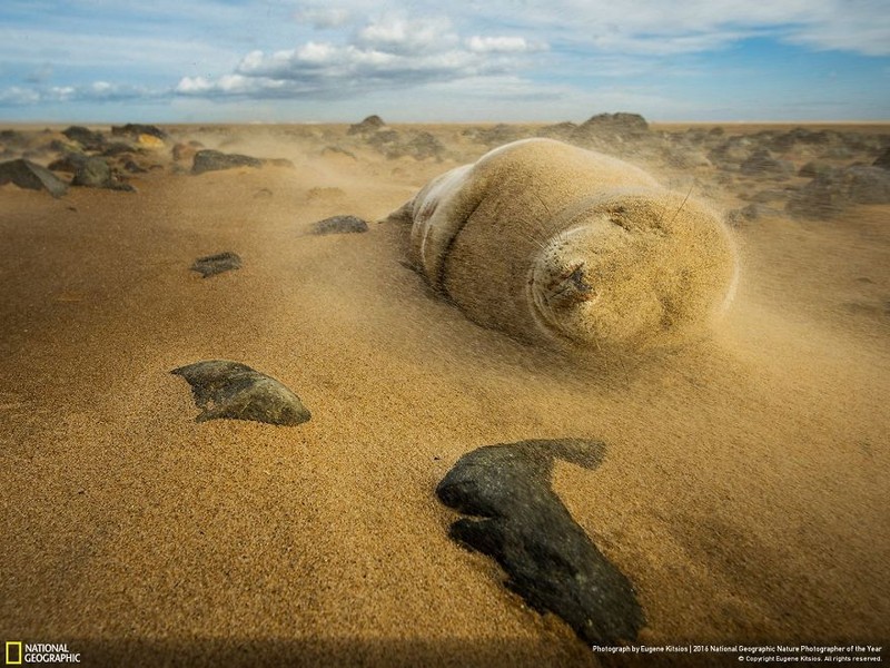 Loat anh thien nhien moi nhat, dep ngat ngay cua National Geographic-Hinh-18