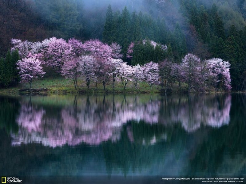 Loat anh thien nhien moi nhat, dep ngat ngay cua National Geographic-Hinh-2