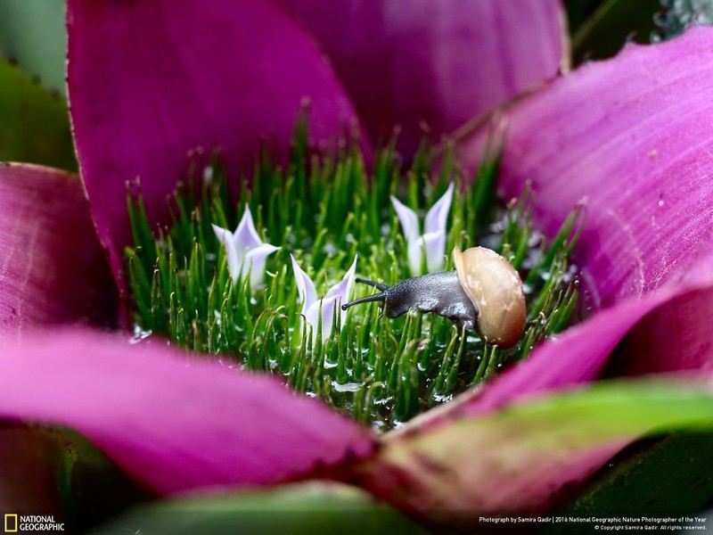 Loat anh thien nhien moi nhat, dep ngat ngay cua National Geographic-Hinh-4